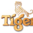 tiger_beer99